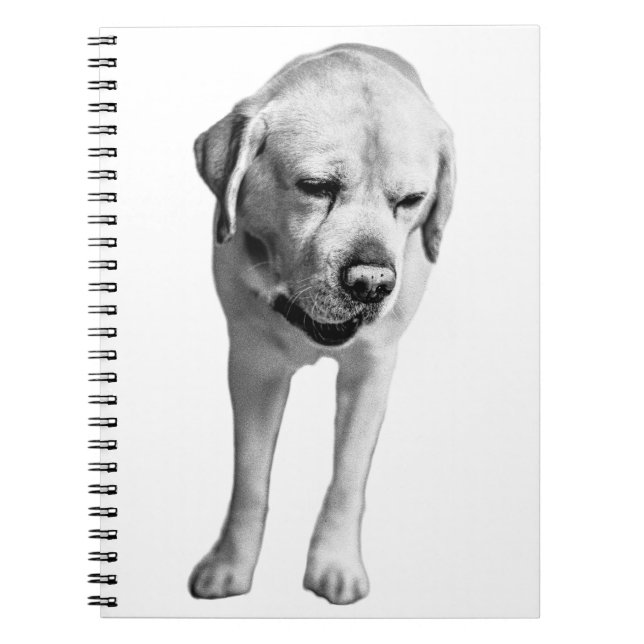 Cuaderno Reflexiones en tinta (Frente)