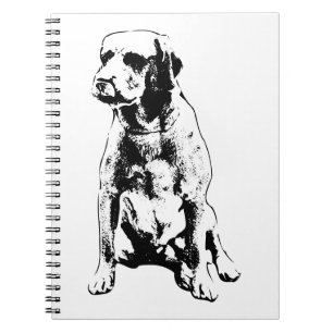 Cuaderno Reflexiones, Mirada
