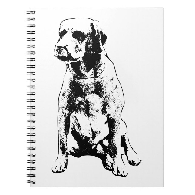 Cuaderno Reflexiones, Mirada (Frente)
