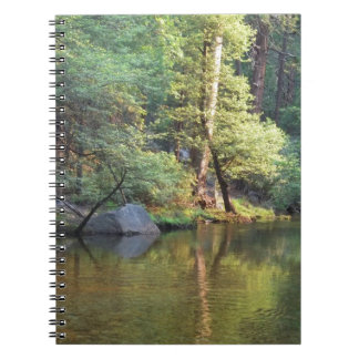 Cuaderno Reflexiones verdes