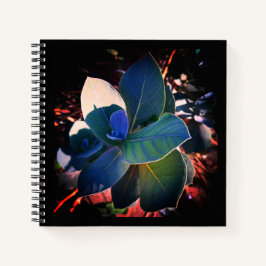 Cuaderno Refrescamiento