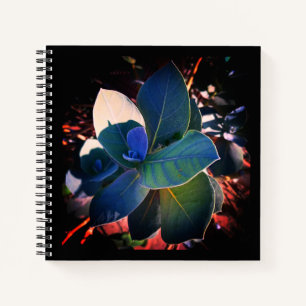 Cuaderno Refrescamiento