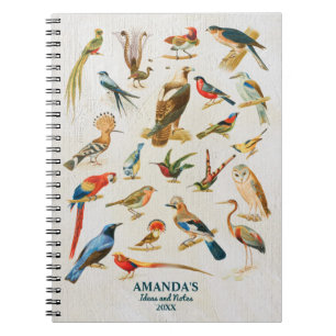 Cuaderno Regalo de Aves Vintage Ilustracion Birding Lover