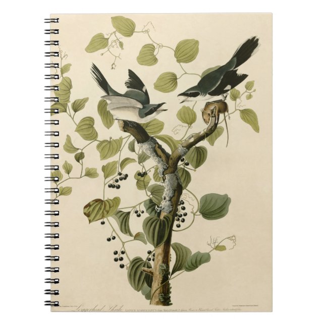 Cuaderno Regalo de pintura de cruces de cabeza de leña de a (Frente)