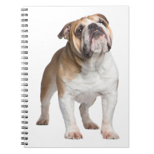 Cuaderno Regalo divertido para mamá de perro cachorro Bulld