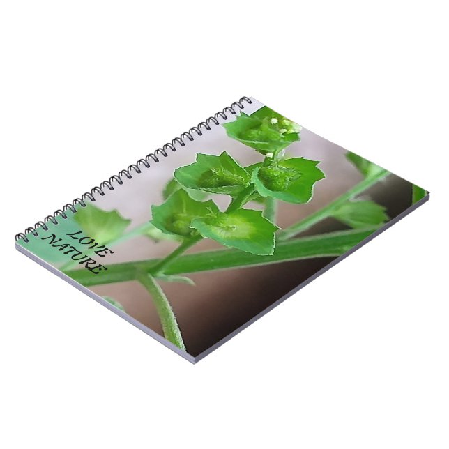 CUADERNO REGALO PARA EL AMOR NATURAL CON FLORES (Lado Izquierdo)