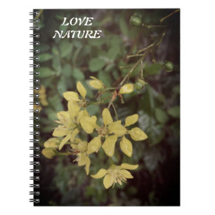 CUADERNO REGALO PARA EL AMOR NATURAL CON FLORES