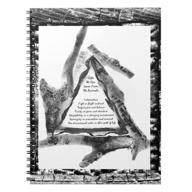 Cuaderno Regalos De Animales (Frente)