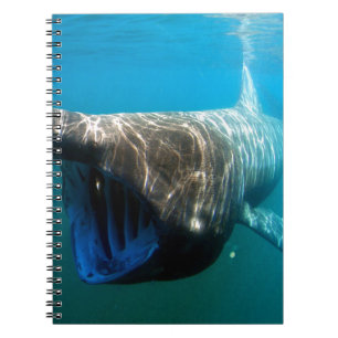 Cuaderno Regalos de destino oceánico tropical de los peces
