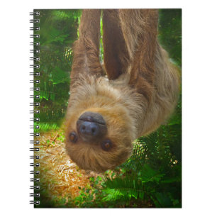 Cuaderno Regalos de la selva tropical