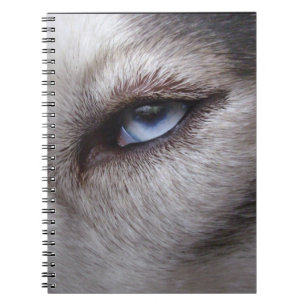 Cuaderno Regalos y libros fornidos del husky siberiano del
