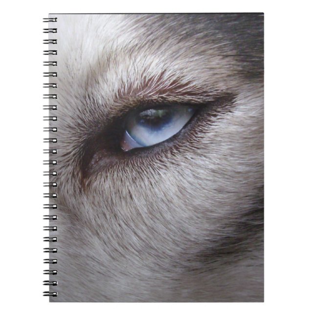 Cuaderno Regalos y libros fornidos del husky siberiano del (Frente)