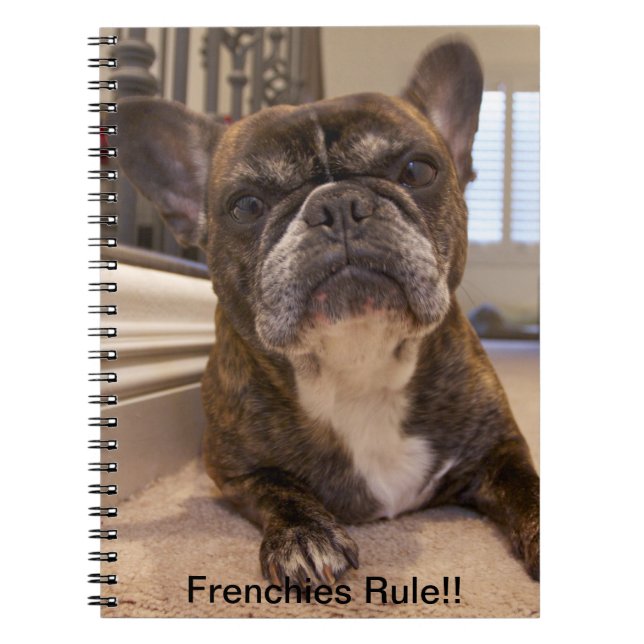 Cuaderno ¡Regla de los Frenchies!! (Frente)