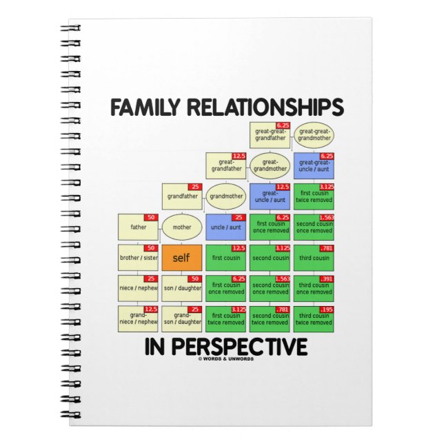 Cuaderno Relaciones Familiares En Perspectiva (Genealogía) (Frente)