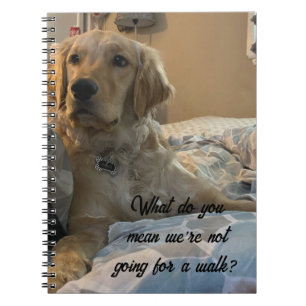 Cuaderno Remi el recuperador de oro