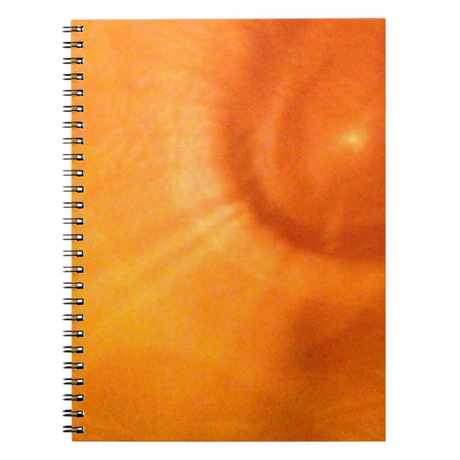 Cuaderno Remolino naranja iluminado (Frente)