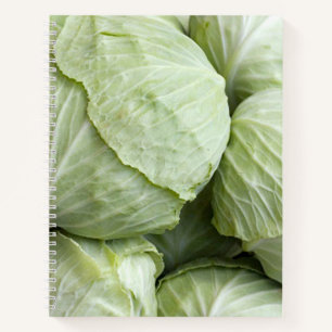 Cuaderno repollo3