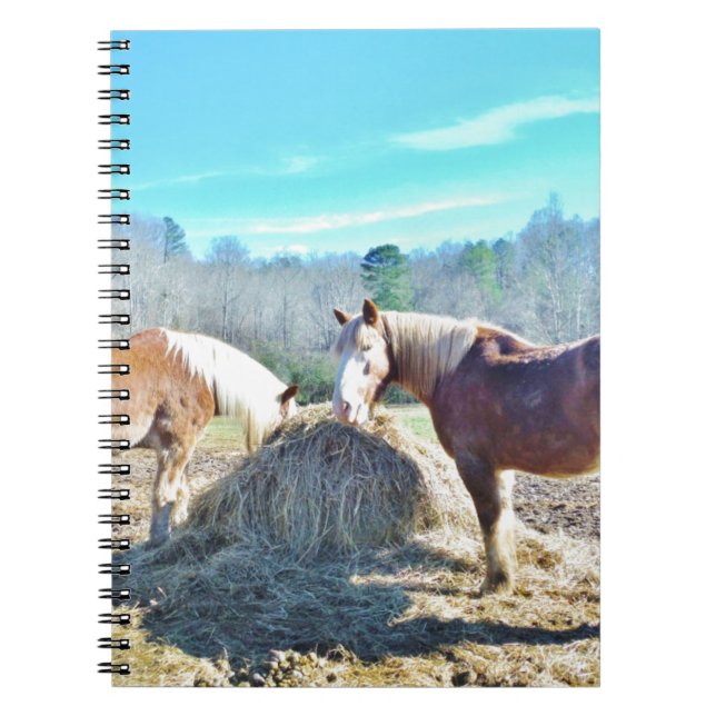 Cuaderno Rescatados Caballos Borradores comiendo heno (Frente)