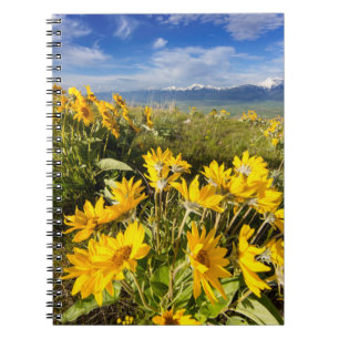 Cuaderno Reserva Nacional de Bisontes