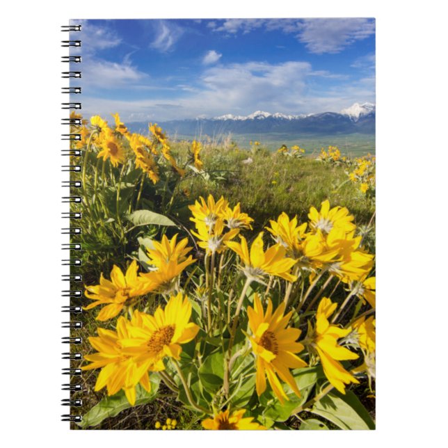 Cuaderno Reserva Nacional de Bisontes (Frente)