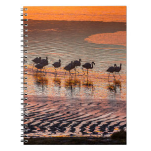 Cuaderno Reserva Nacional de Fauna Andina Eduardo Abaroa