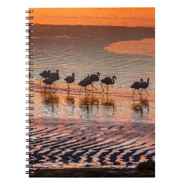 Cuaderno Reserva Nacional de Fauna Andina Eduardo Abaroa (Frente)