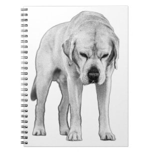 Cuaderno Resolver por punto