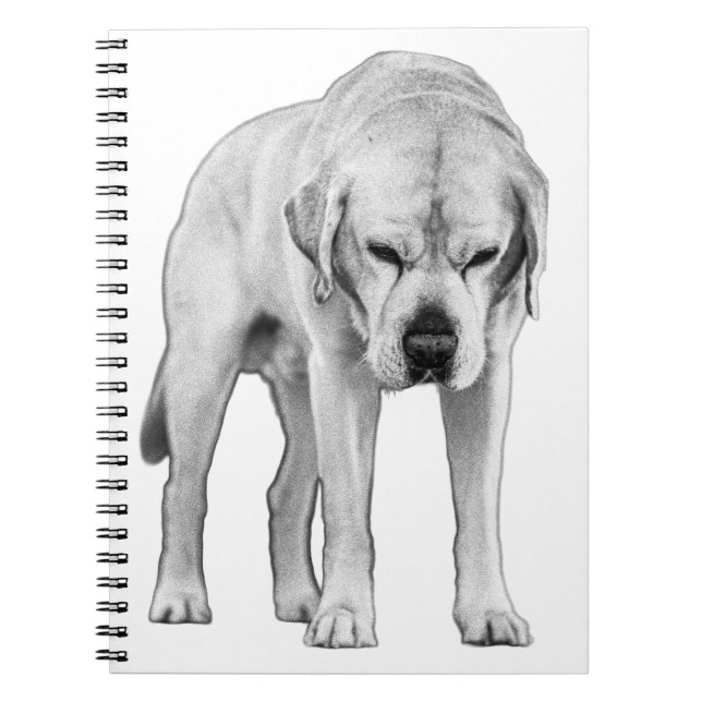 Cuaderno Resolver por punto (Frente)