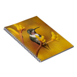 Cuaderno Resplandor de oro