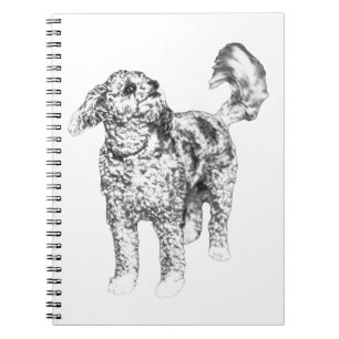 Cuaderno Resplandor de rizo tranquilo