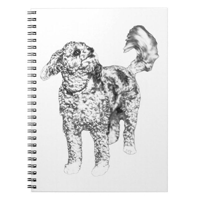 Cuaderno Resplandor de rizo tranquilo (Frente)