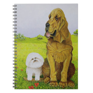 Cuaderno Responsable