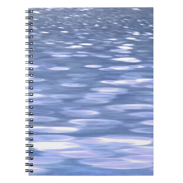 Cuaderno Resumen #3: Brillo azul en polvo (Frente)