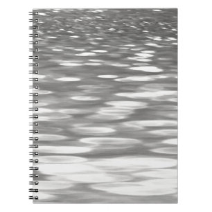 Cuaderno Resumen #3: Brillo gris plateado