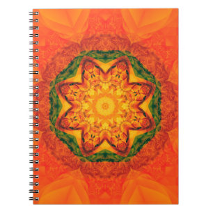 Cuaderno Resumen de antecedentes naranjas del caleidoscopio