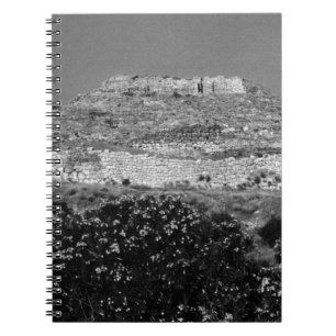 Cuaderno Resumen de la acrópolis de Atenas Mycenae