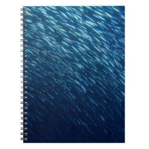 Cuaderno Resumen de la escuela de peces subacuáticos
