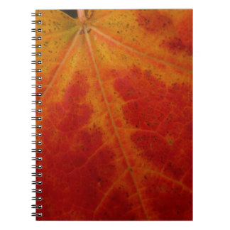 Cuaderno Resumen de la hoja de arce roja Fotografía de la n