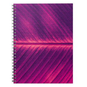 Cuaderno Resumen de la hoja de palma: vena tónica