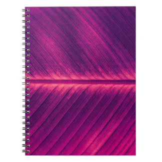 Cuaderno Resumen de la hoja de palma: vena tónica