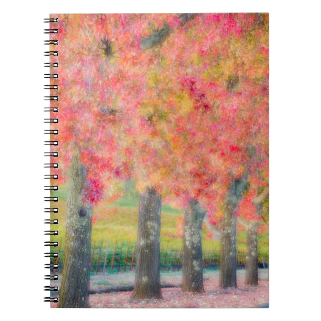 Cuaderno Resumen de los árboles del valle de Napa (Frente)