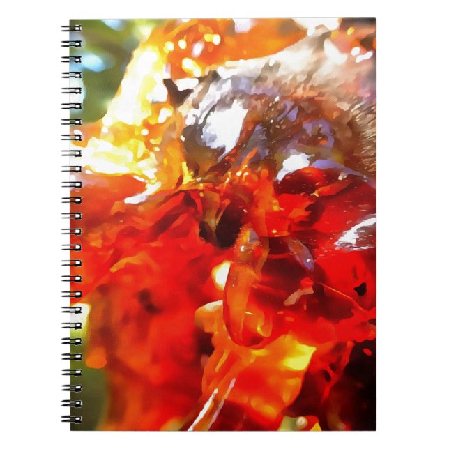 Cuaderno Resumen de resina filtrada de árbol de albaricoque (Frente)