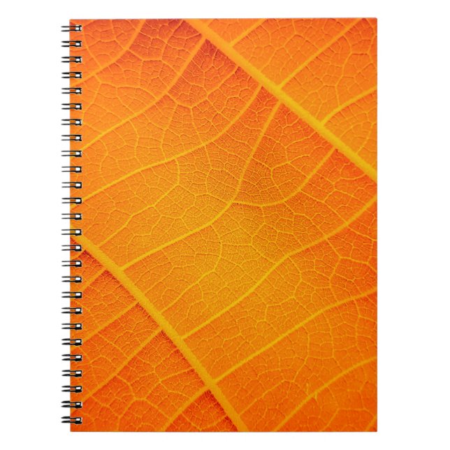 Cuaderno Resumen de un texto de hoja naranja y amarillo (Frente)