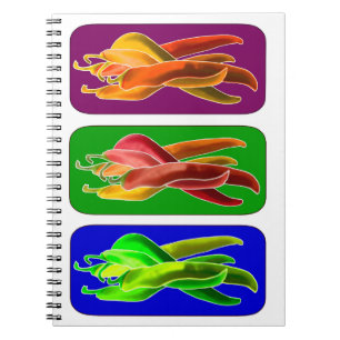 Cuaderno Resumen del bloc de notas de Chiles