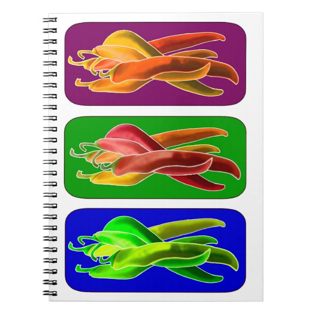 Cuaderno Resumen del bloc de notas de Chiles (Frente)