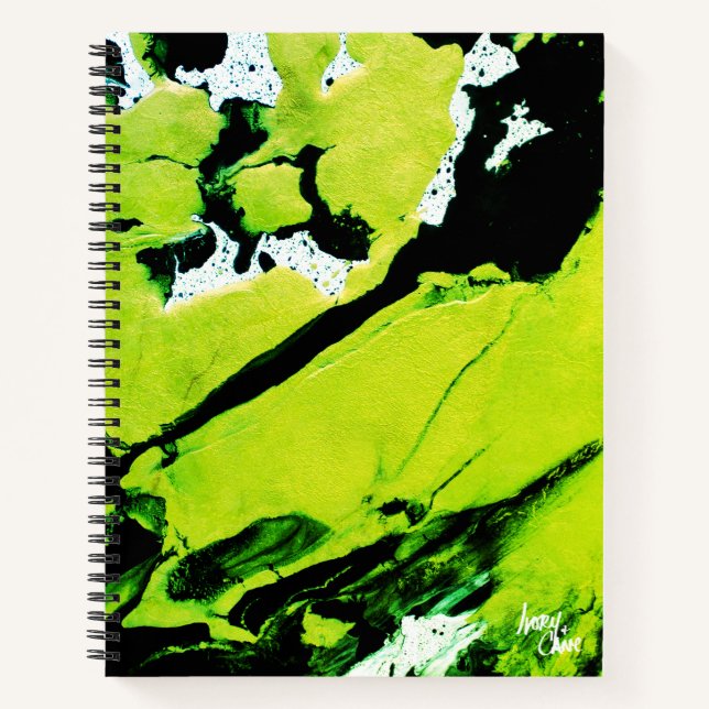 Cuaderno Resumen verde y negro de SPWW Keylime n' Slime (Anverso)