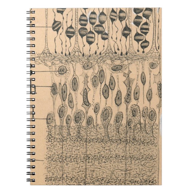 Cuaderno Retina de ojos de dibujo celular Santiago Ramon Y  (Frente)