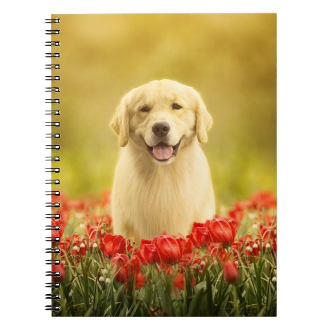 Cuaderno Retirador de oro en flores rojas (Frente)