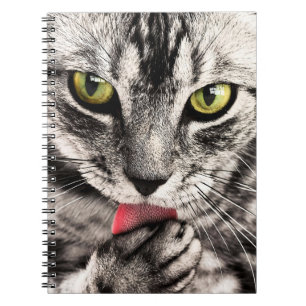 Cuaderno Retrato animal del Mascota del gato