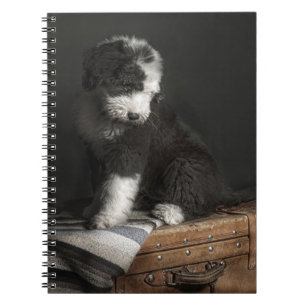 Cuaderno Retrato Bobtail del perrito en estudio